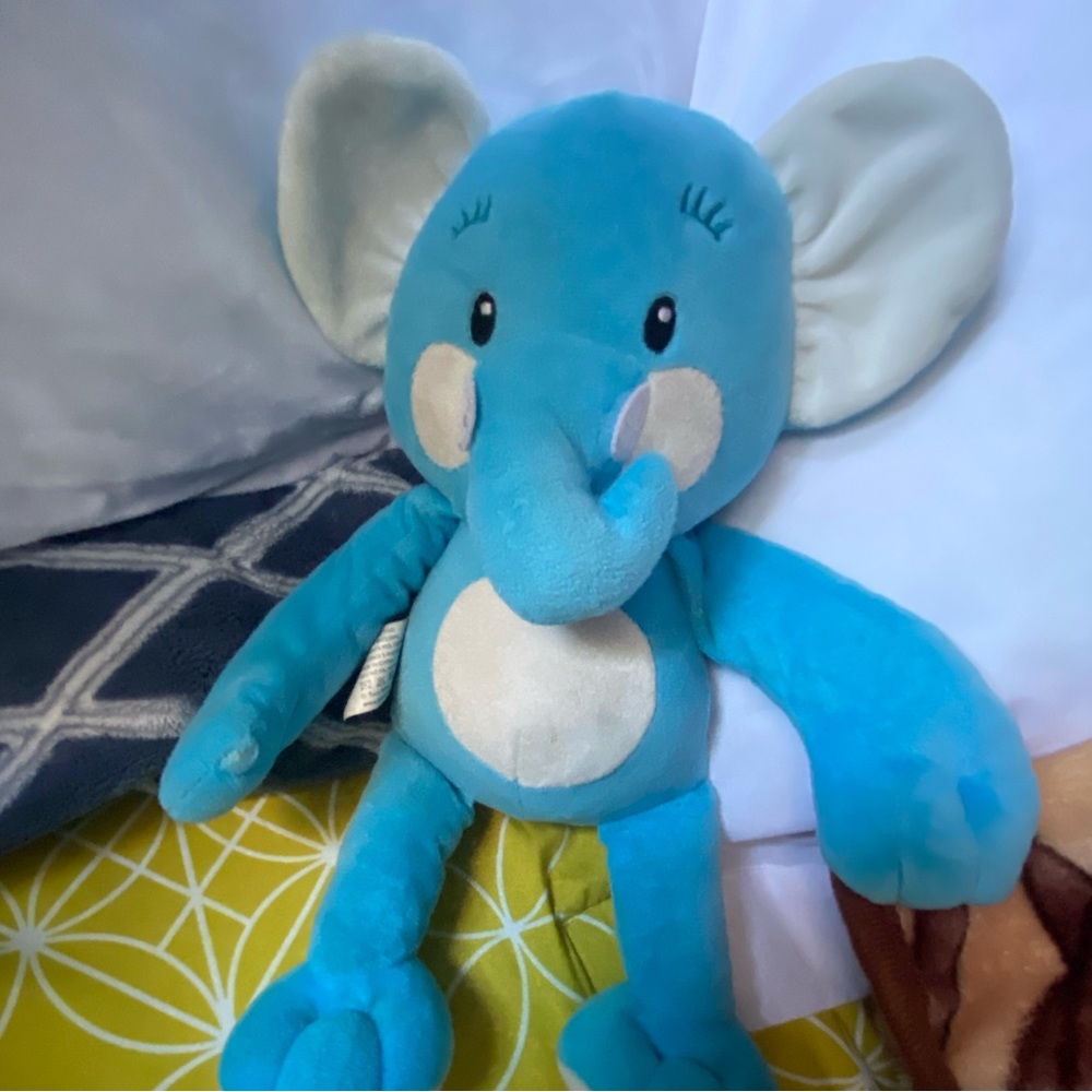 Cute elephant bear